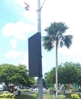 Wireless Outdoor LED Billboard Wifi 3G 4G Control Lamp Pole Application Rear Access
